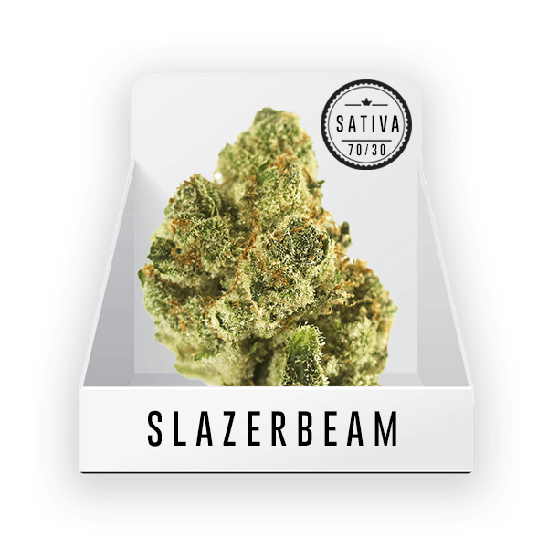 Bud - Slazerbeam 24.9%THC