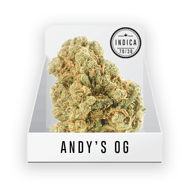 Bud (Top Shelf)- Andy's OG 21.5% THC