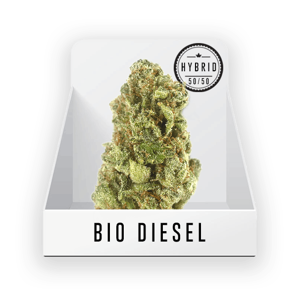 Bud (Top Shelf) - Bio Diesel #58 23.96% THC