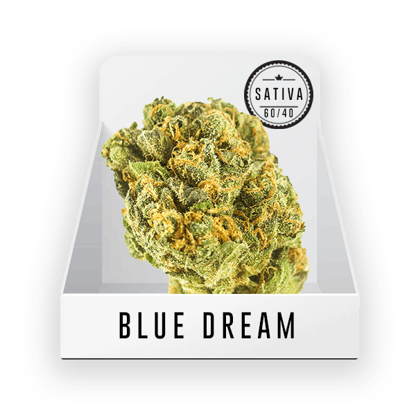 Bud (Top Shelf) - Blue Dream 17.19% THC