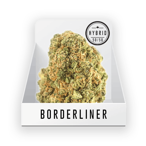 Bud (Top Shelf) - Borderliner 19.56% THC