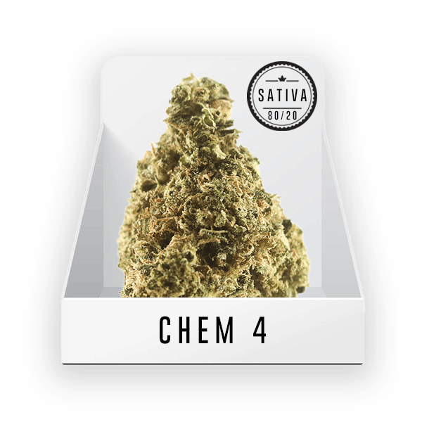 Bud (Top Shelf) - Chem #4 22.10% THC