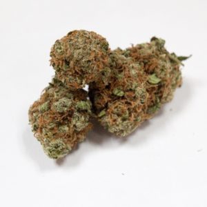 Bud (Top Shelf) - Jamaica 21.5 THC