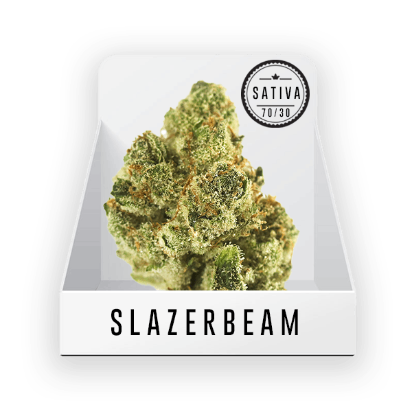 Bud (Top Shelf) - Slazerbeam 21.9% THC
