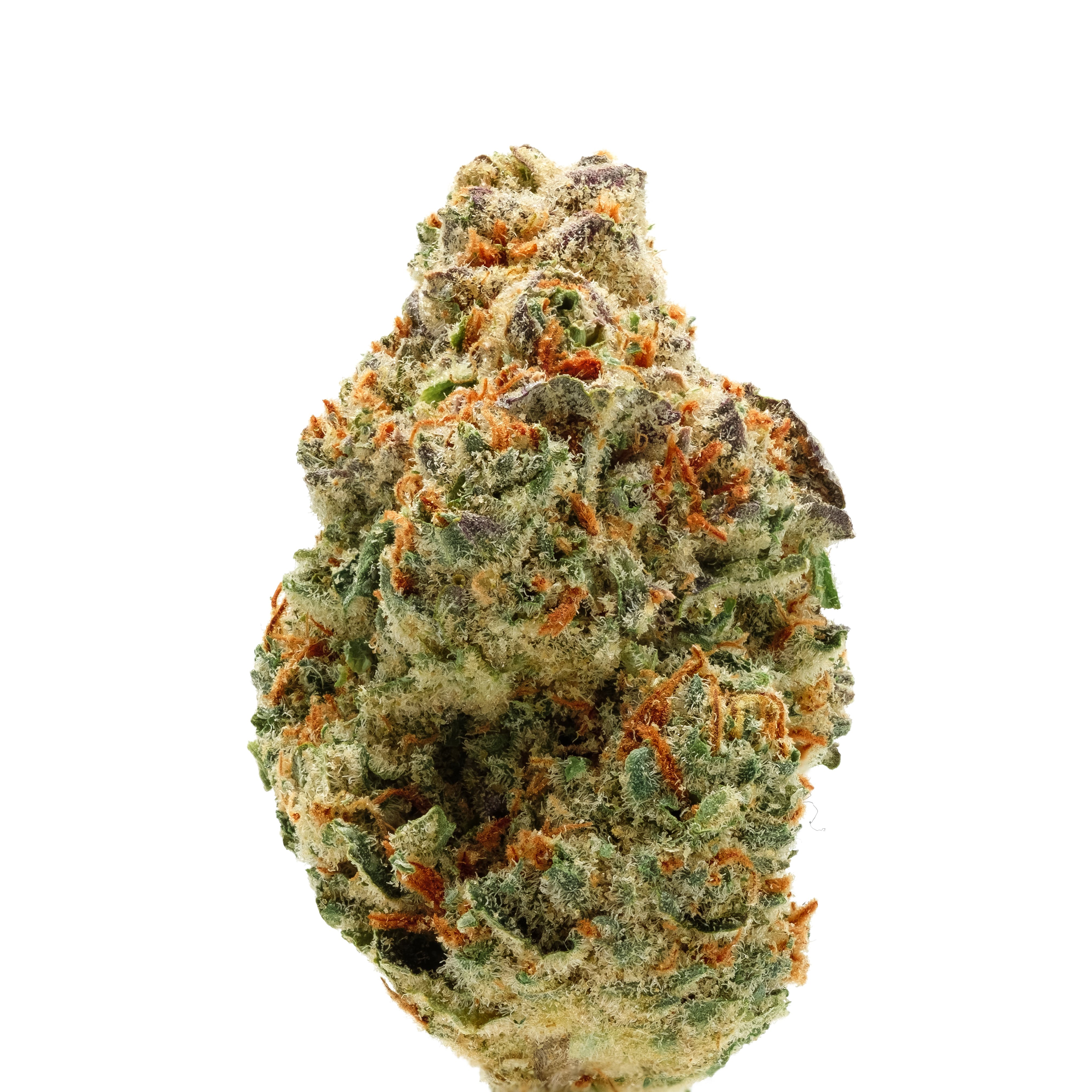 marijuana-dispensaries-4218-mission-street-san-francisco-budder-amplified-farms