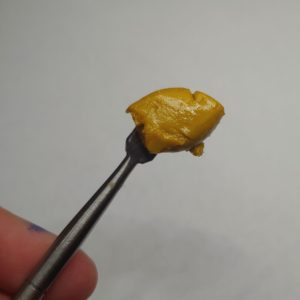 Budder- Witch Doctor