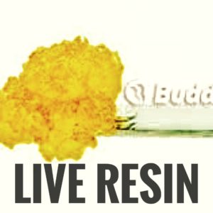 Buddies Shockwave Live Resin #8539
