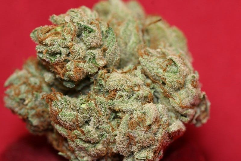 marijuana-dispensaries-5848-imperial-hwy-downey-bugatti-og-pr