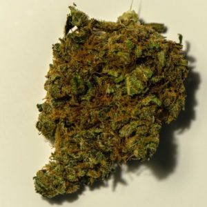 Burkle - Mother Herb