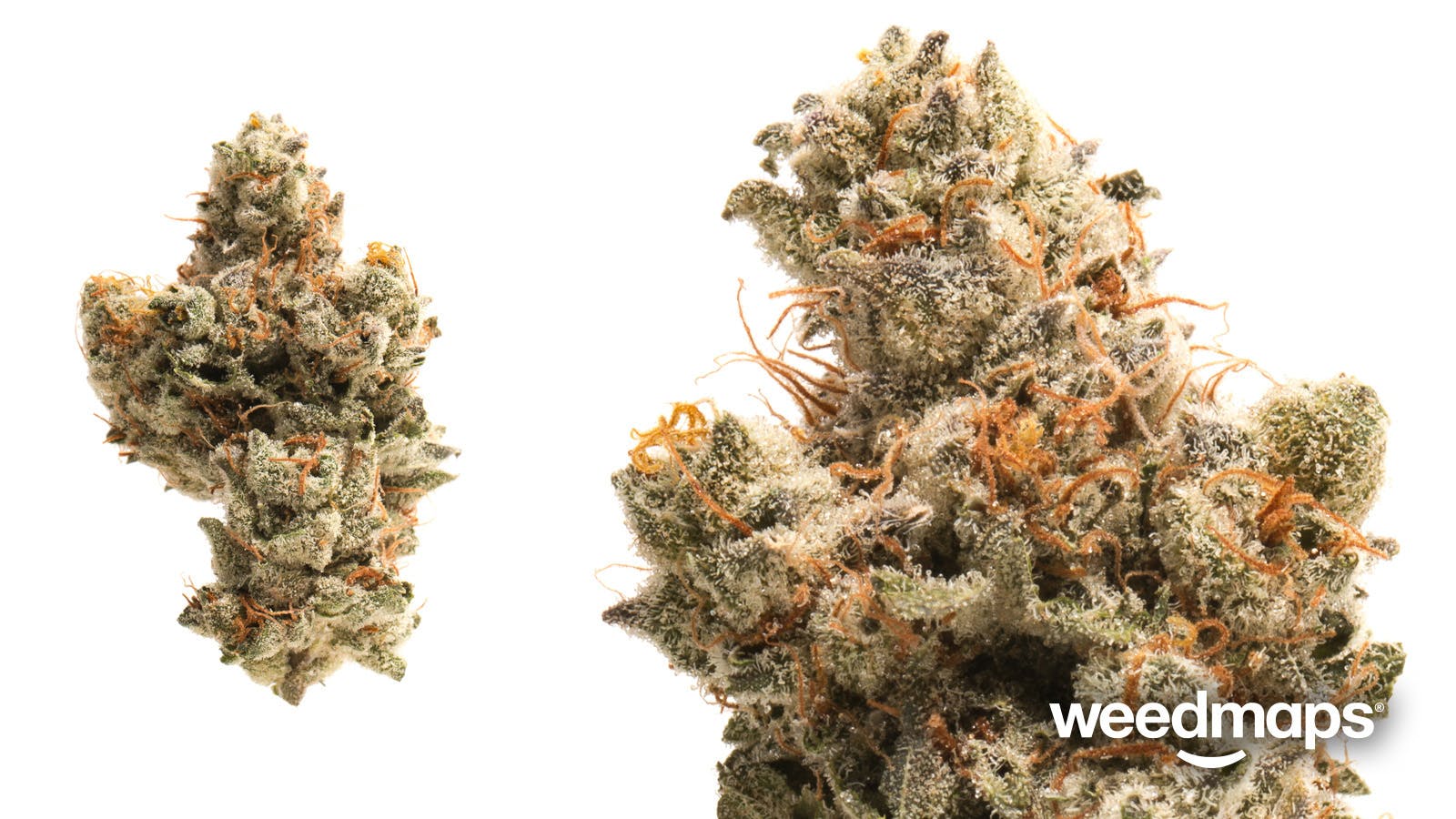 marijuana-dispensaries-203-ne-weidler-st-portland-c-and-c-246-gram