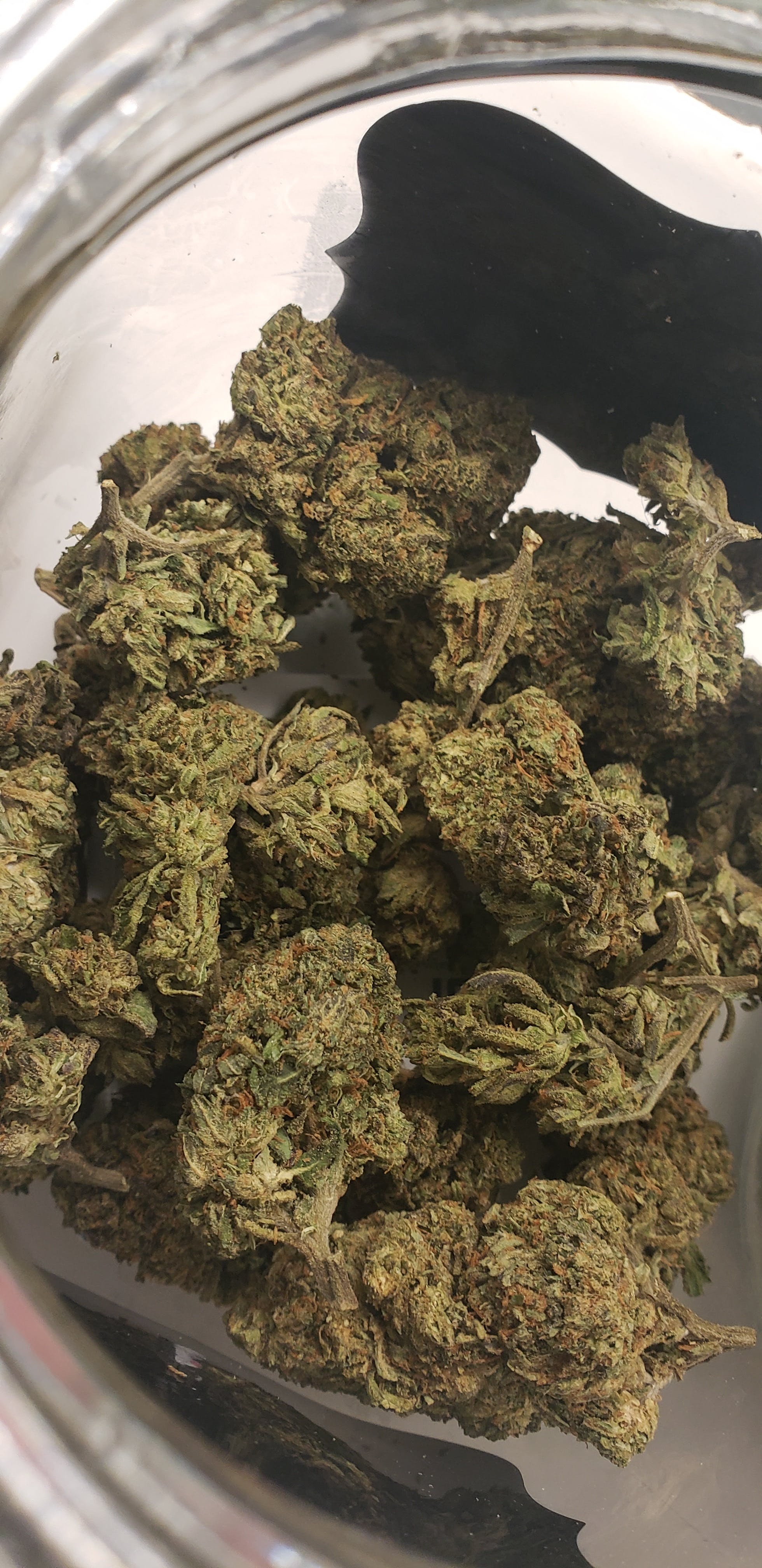 marijuana-dispensaries-green-linq-in-bakersfield-c4