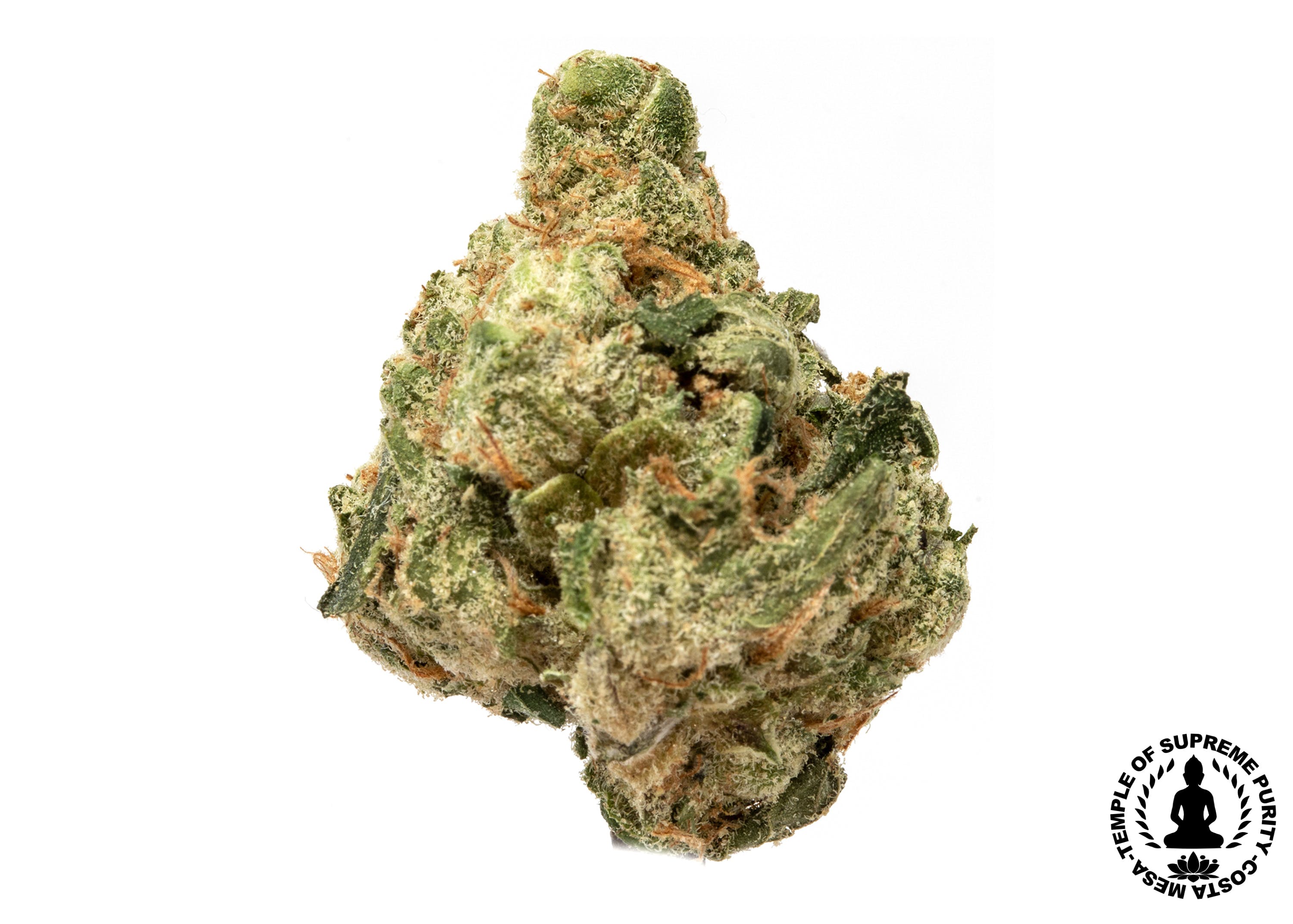 marijuana-dispensaries-1834-newport-blvd-unit-c-costa-mesa-cactus-cooler