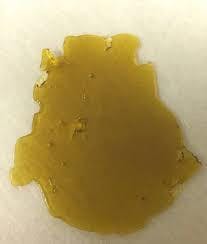 concentrate-cal-headband