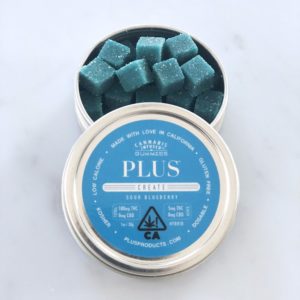 CAL Plus- Blueberry Gummies