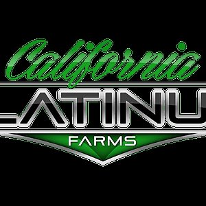 California Platinum Farms Preroll