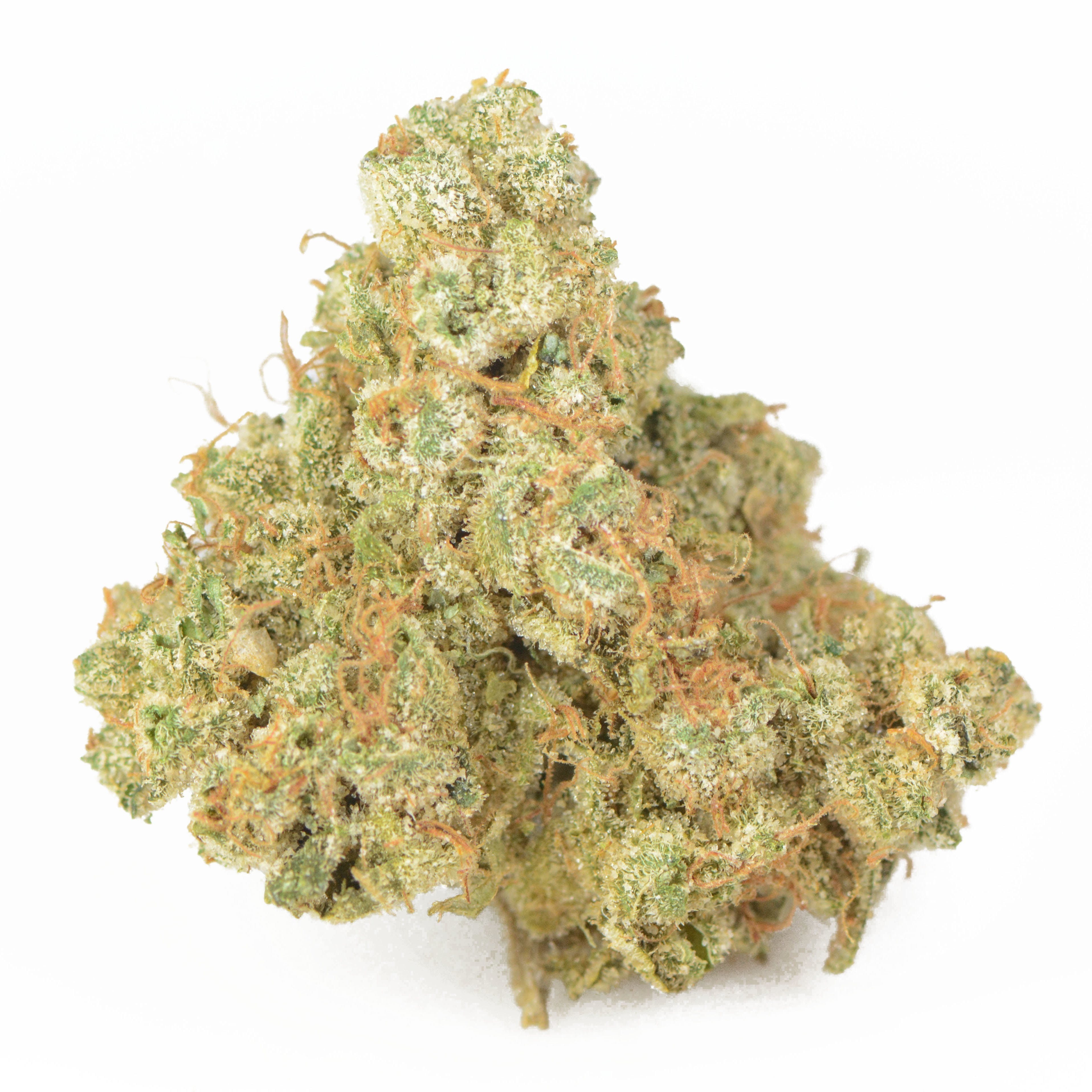 marijuana-dispensaries-1515-n-cahuenga-blvd-los-angeles-california-platinum-rollins-1g-2411