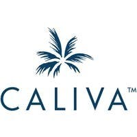 Caliva - Hybrid House Doobie Preroll