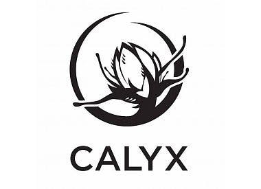 Calyx Restore Capsules- 750mg bottle