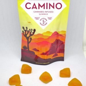 Camino Gummies by Kiva Confections