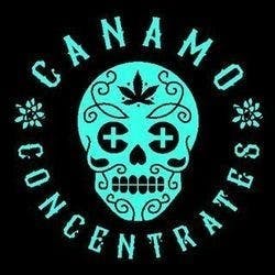 concentrate-canamo-shatter