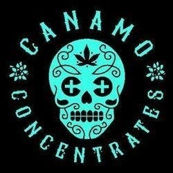 concentrate-canamo-wax