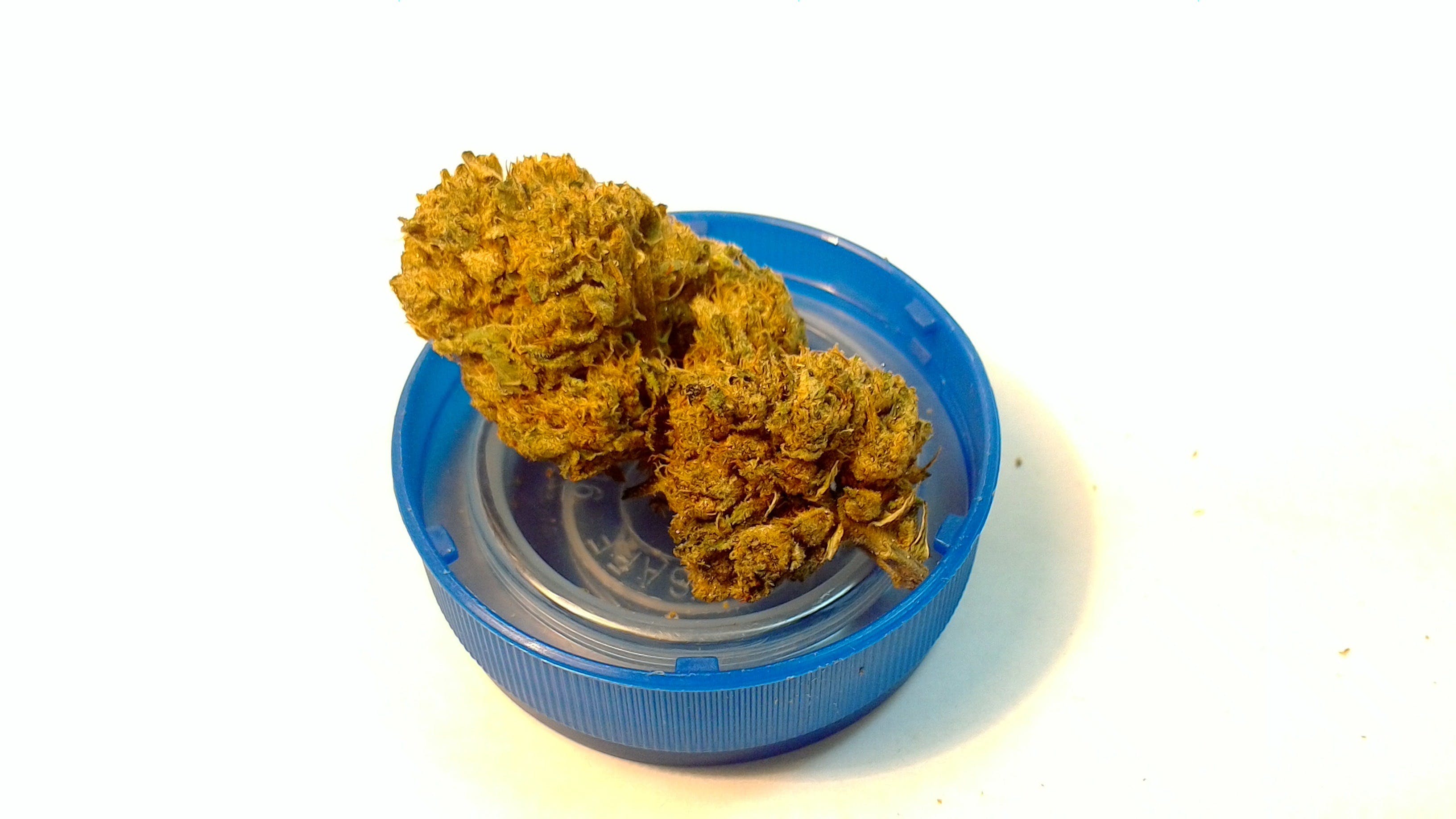 sativa-candyland-by-firehouse-growers