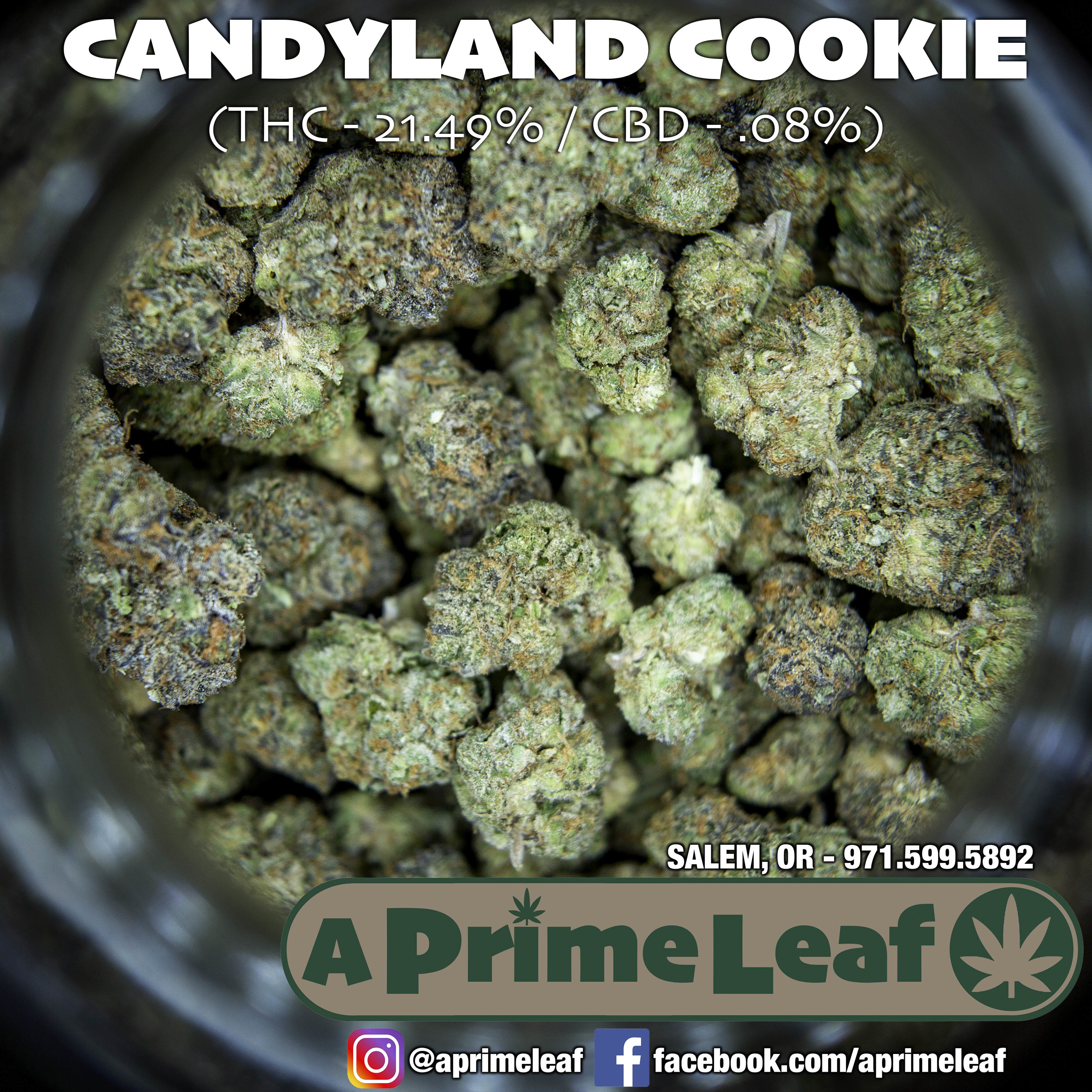 Candyland Cookies