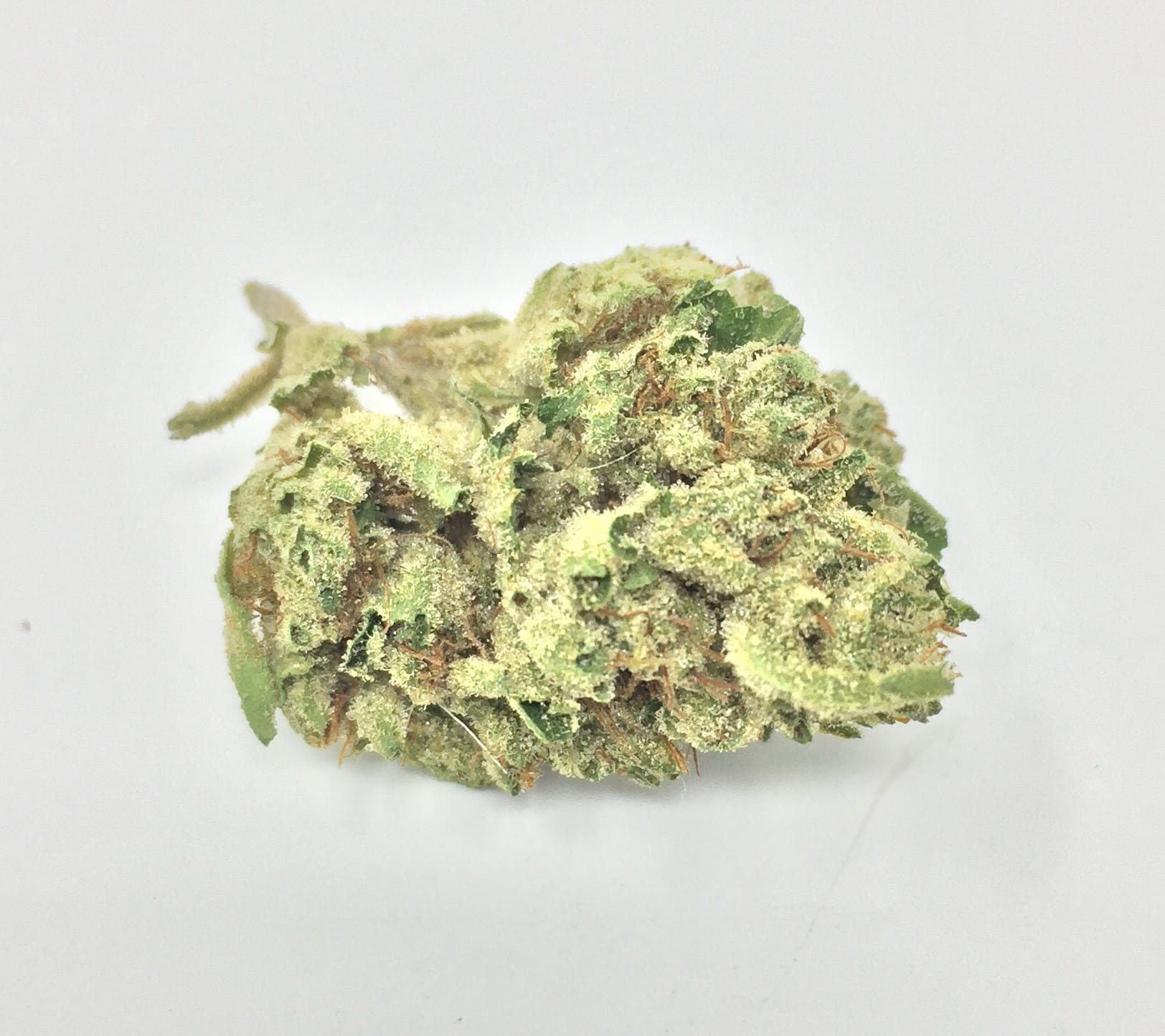 marijuana-dispensaries-306-f-street-eureka-canna-trust-sfv-lambo