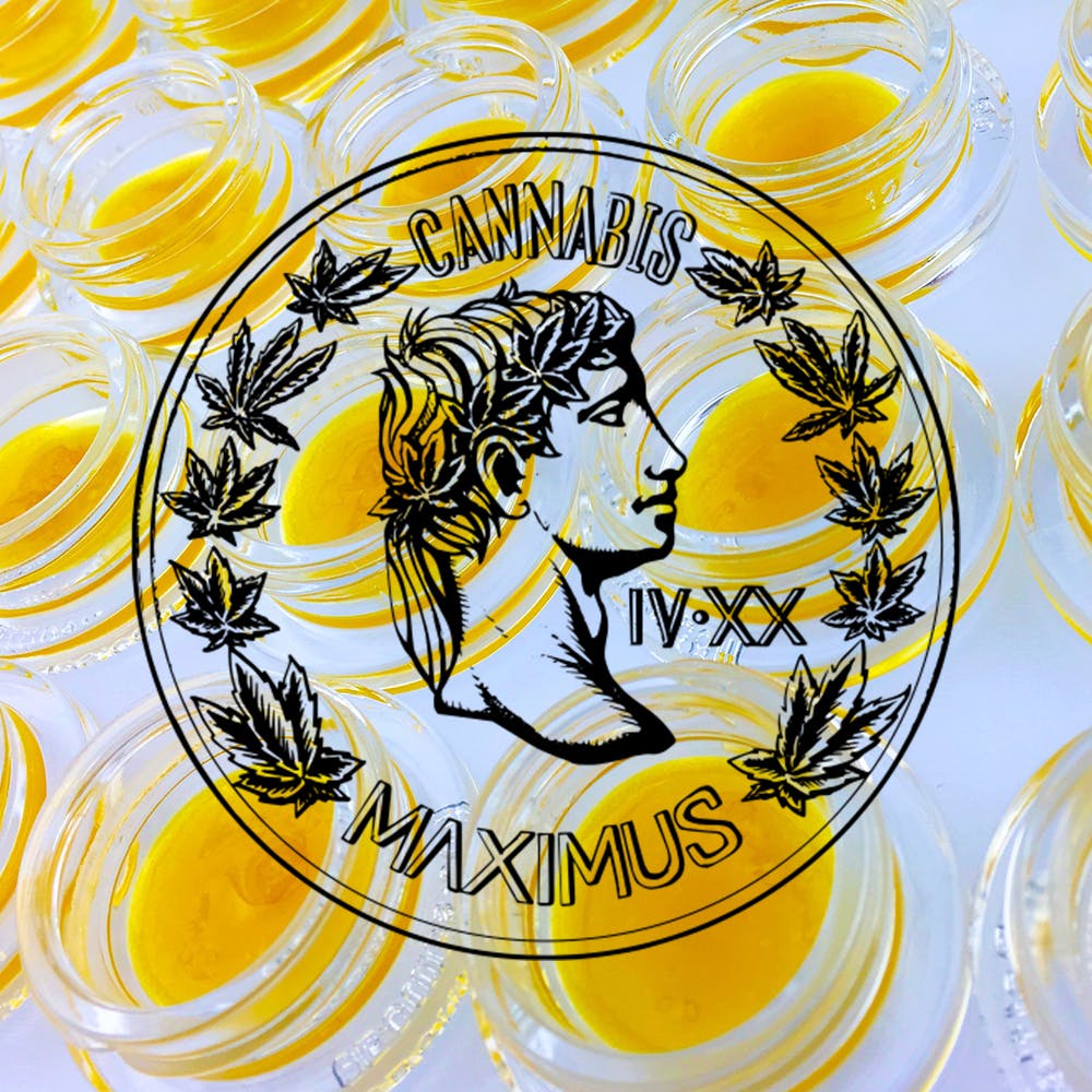 Cannabis Maximus - Wax - Hybrid
