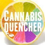 Cannabis Quencher - CBD Mango 1:1
