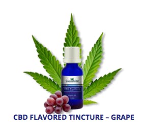 Cannakids | CBD Grape Tincture