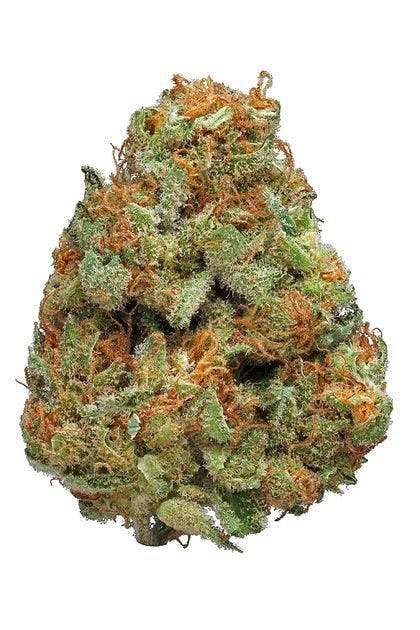 marijuana-dispensaries-cure-colorado-in-denver-cannalope-haze