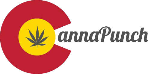 drink-cannapunch-cannapunch-sons-of-sativa-pine-mango-200mg