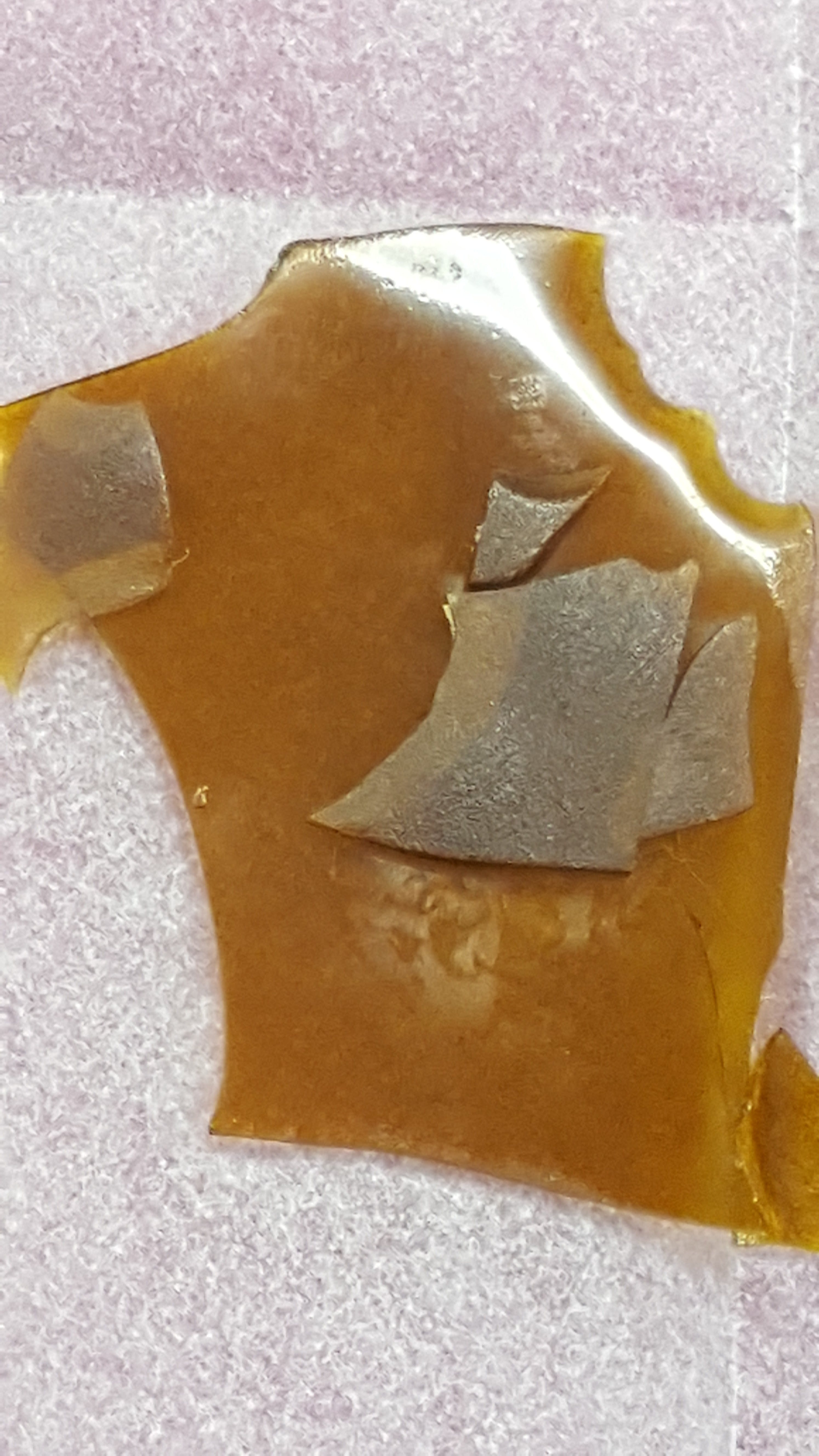 concentrate-cannasource-colorado-sweet-kush-shatter