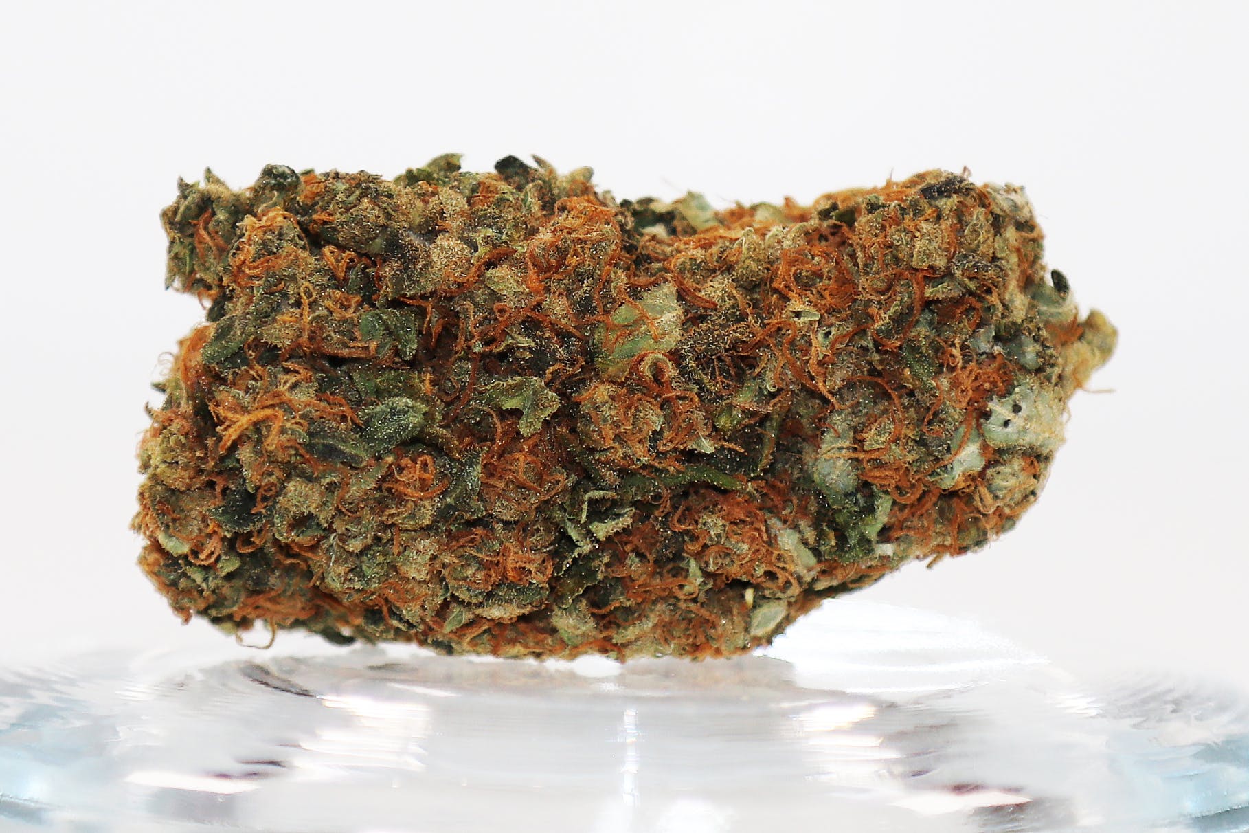 marijuana-dispensaries-southwest-organic-producers-in-albuquerque-cannatonic-cbd-hybrid