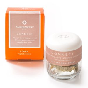 Canndescent - Connect Gram