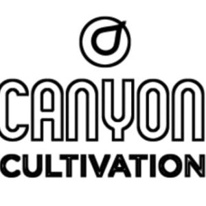 Canyon Cultivation 1:1 CBD/THC Sucker