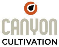 edible-canyon-cultivation-pop-it-350mg