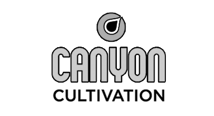 Canyon Cultivation - Suck-It Hard Candies