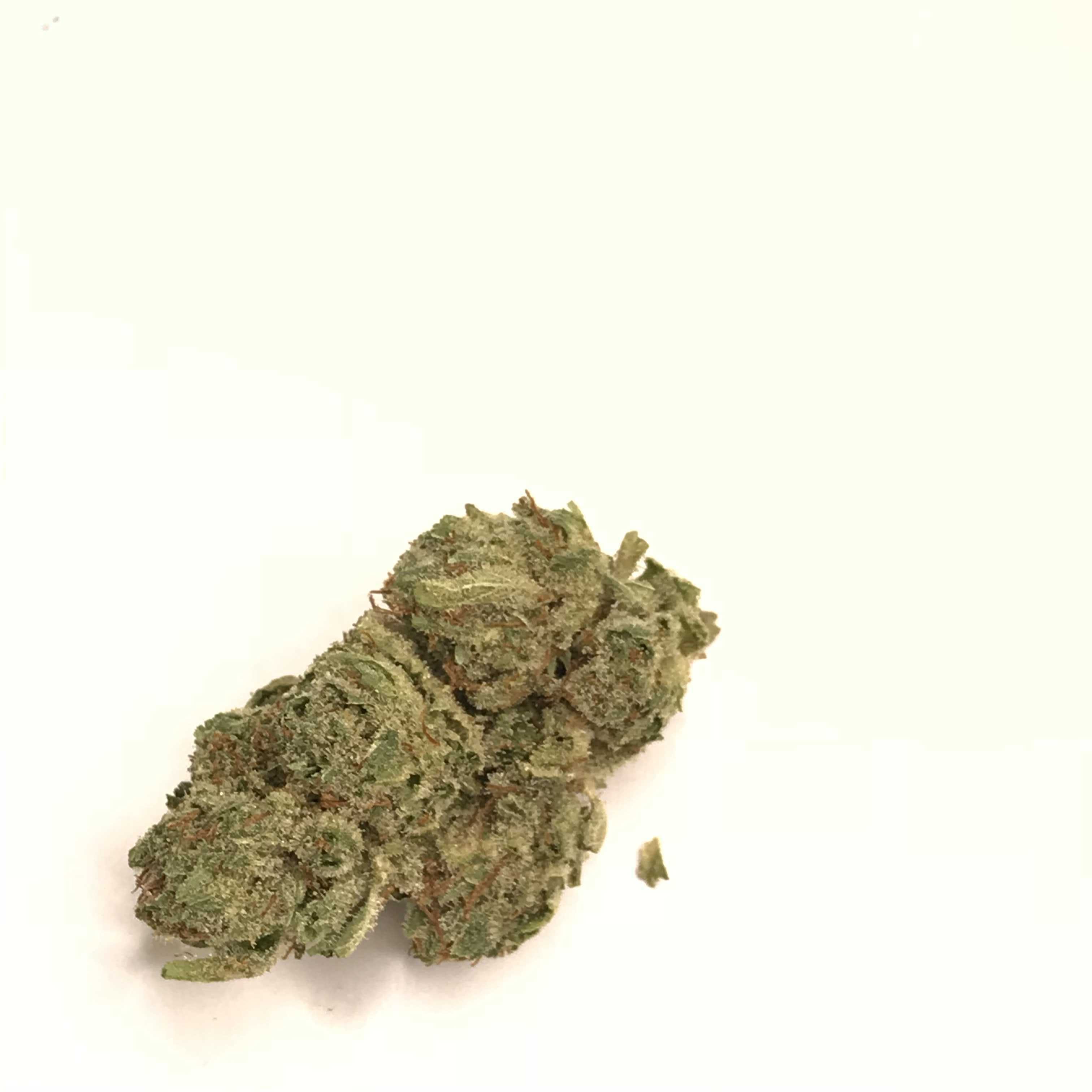 marijuana-dispensaries-6102-vineland-ave-north-hollywood-capital-sfv-og-special