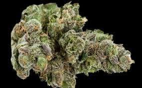 marijuana-dispensaries-3019-toupal-drive-trinidad-carthage-sativa-25-50-25