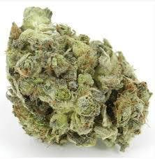 marijuana-dispensaries-whittiers-20-spot-in-whittier-caviar-og