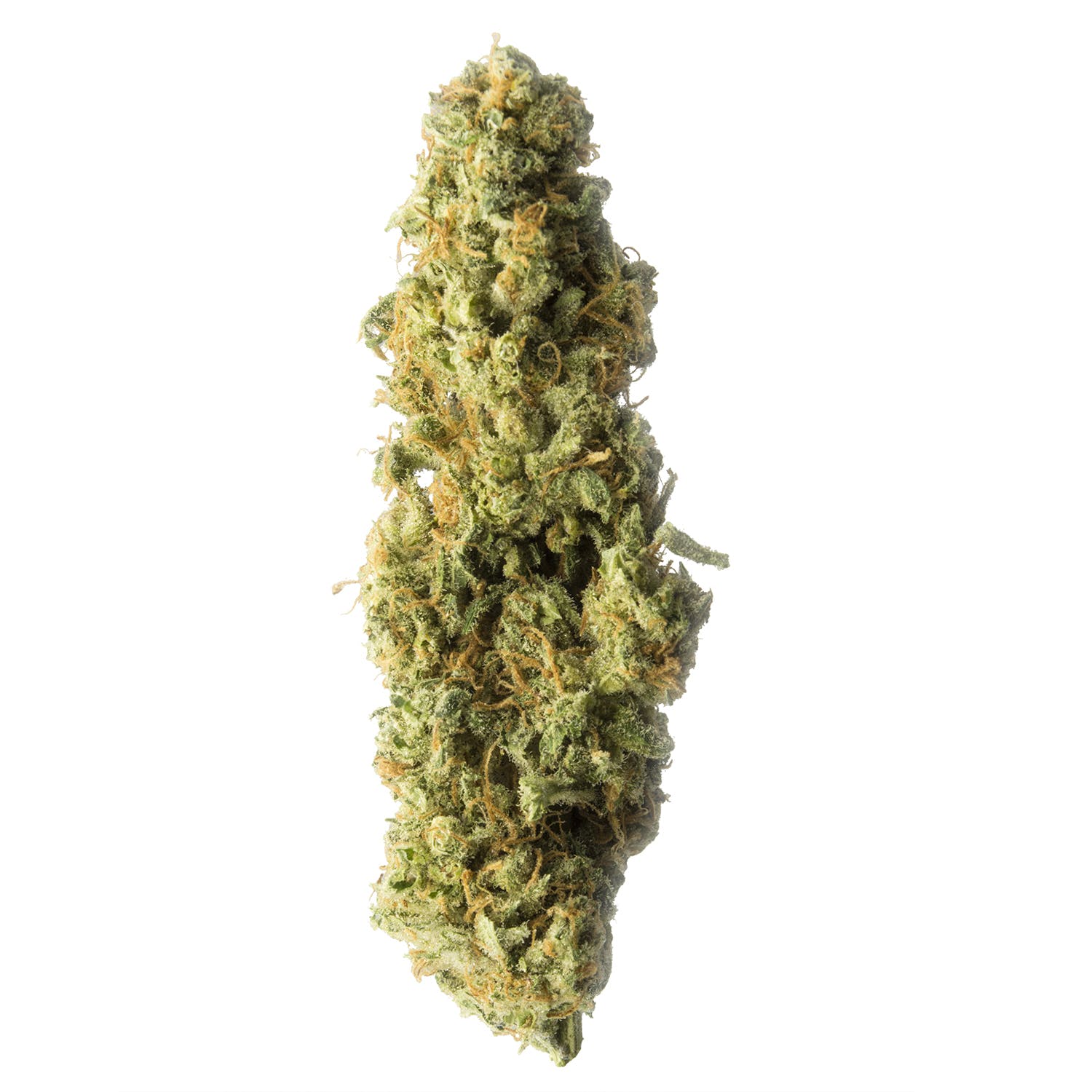 marijuana-dispensaries-118-george-st-hamilton-cbd-afghani-21-thccbd-by-red-hill-pharms