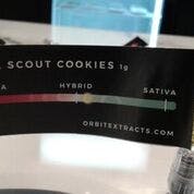 CBD Distillate Syringe Girl Scout Cookies - Orbit Extracts