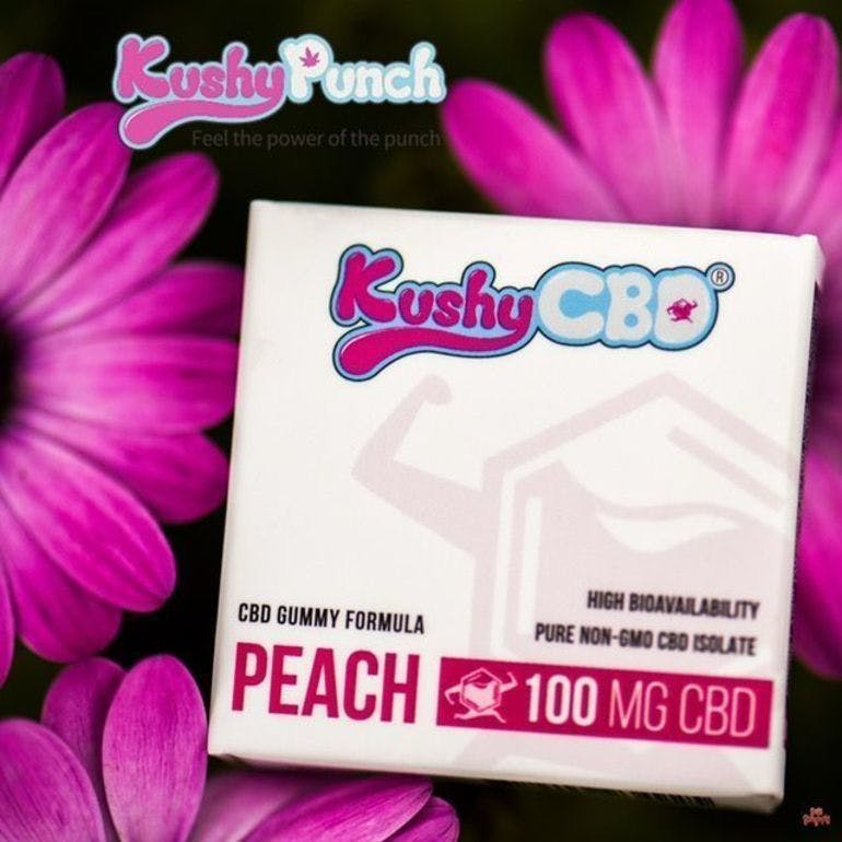 CBD (Gummy) 100mg - Kushy Punch