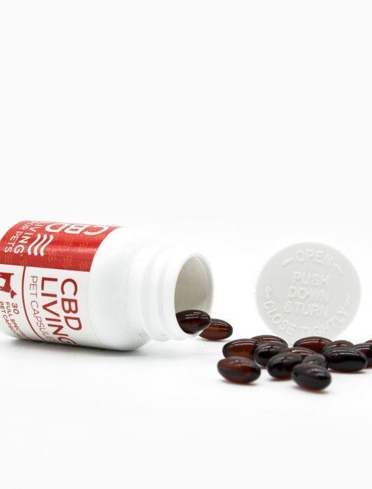edible-cbd-living-pet-capsules-25mg