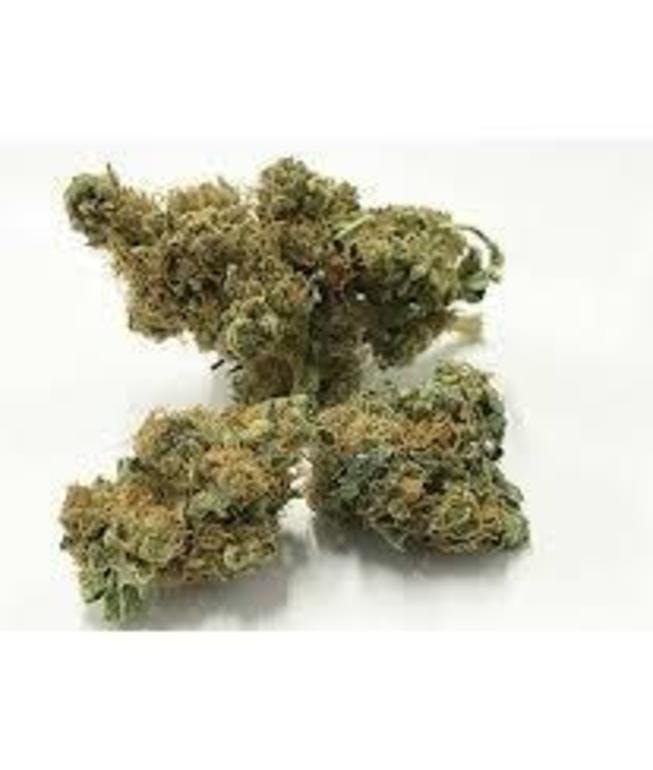 marijuana-dispensaries-118-george-st-hamilton-cbd-mango-haze-by-red-hill-pharms