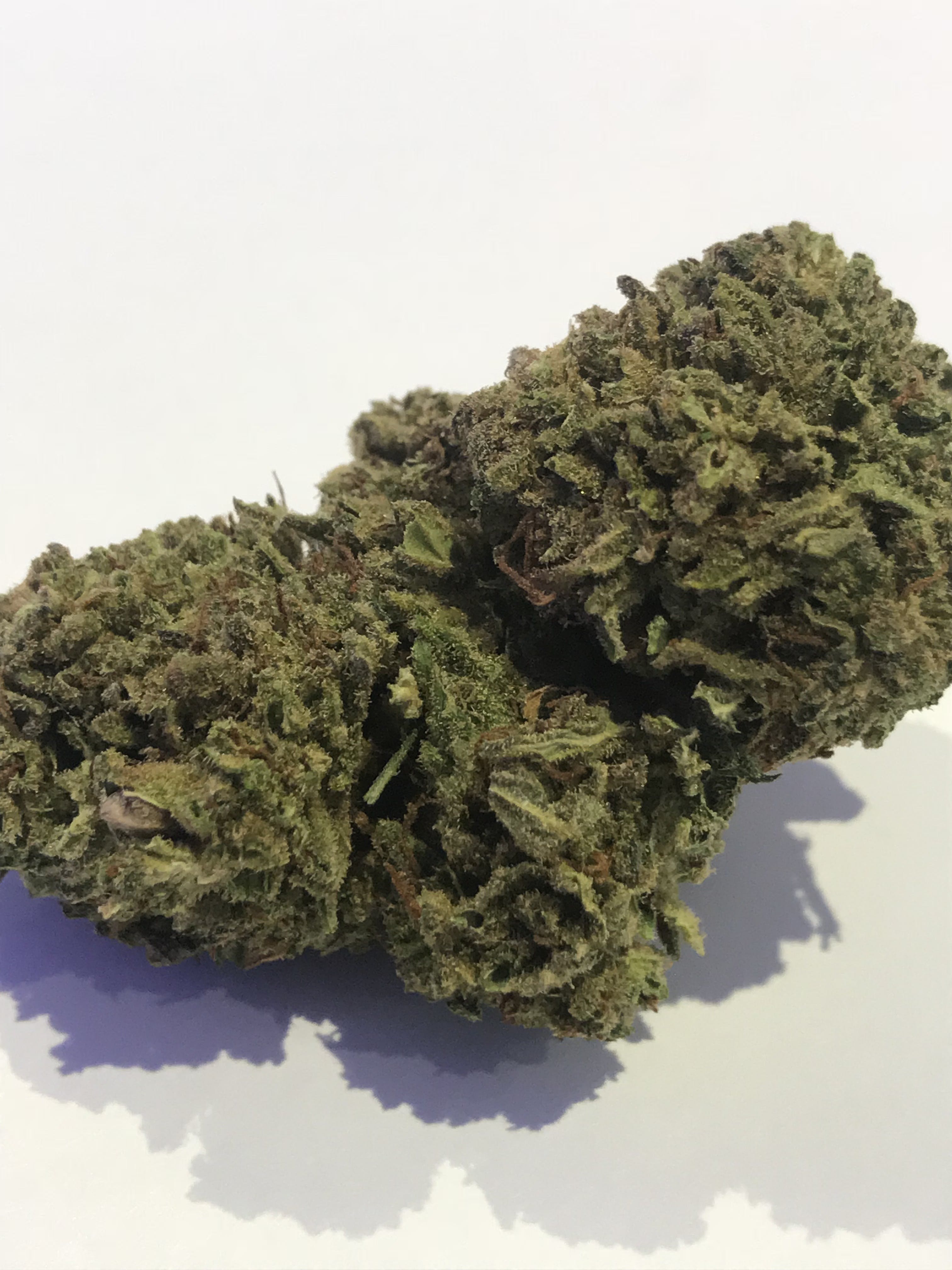 marijuana-dispensaries-2754-e-walnut-st-pasadena-cbd-only-hawaiian-haze-10g-for-2475