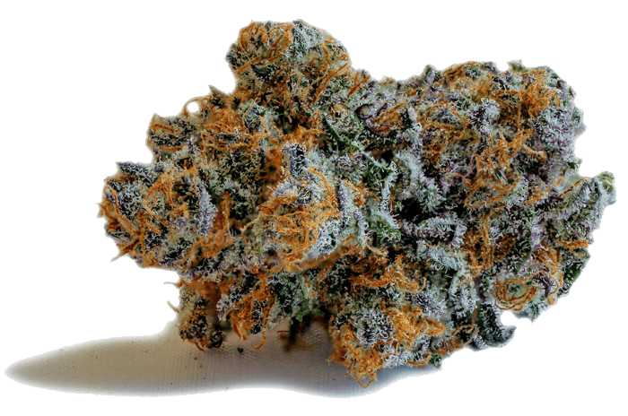 marijuana-dispensaries-theory-wellness-recreational-newly-opened-in-great-barrington-cbd-punch