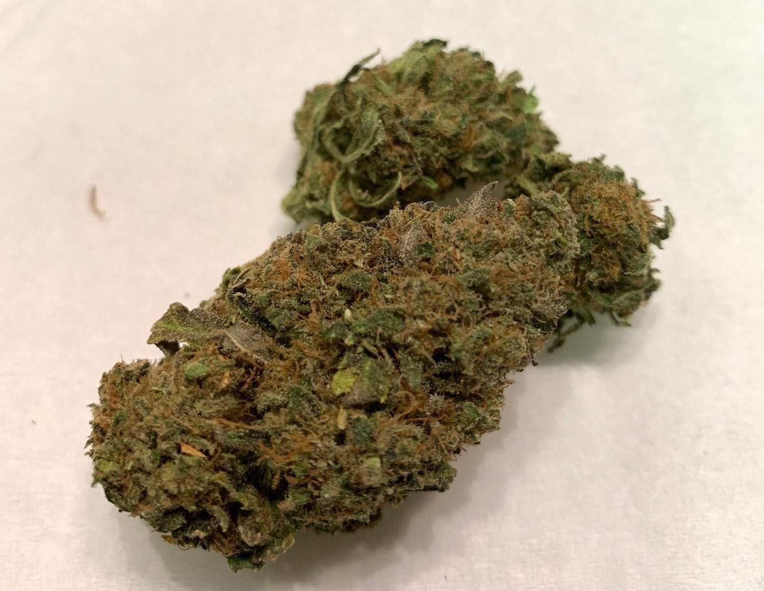 marijuana-dispensaries-426-west-fillmore-street-colorado-springs-cbd-yummy-buds